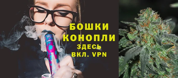 молекула духа Белая Холуница