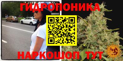 а пвп мука Аргун