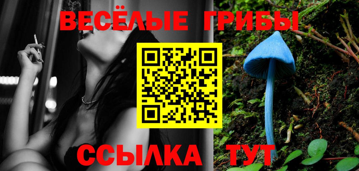 Белая Калитва  дарнет шоп  Вход с VPN  Псилоцибиновые грибы Psilocybine cubensis 