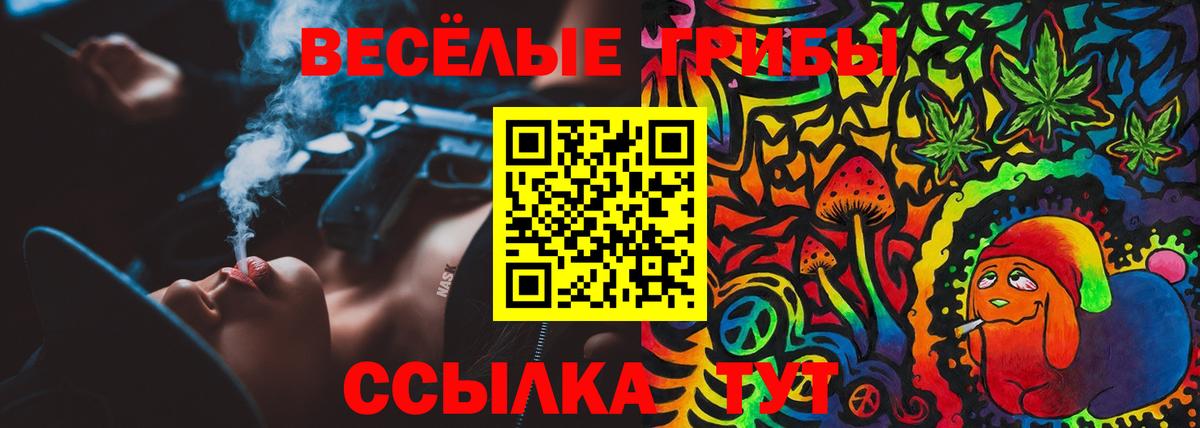 Галлюциногенные грибы GOLDEN TEACHER Белая Калитва