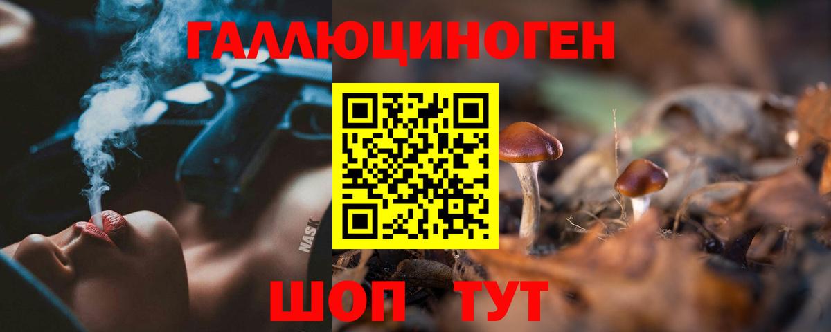 Галлюциногенные грибы прущие грибы Белая Калитва